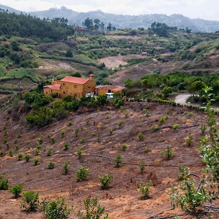 Las Casas De Lola Y Rafael Moya  Kültér fotó